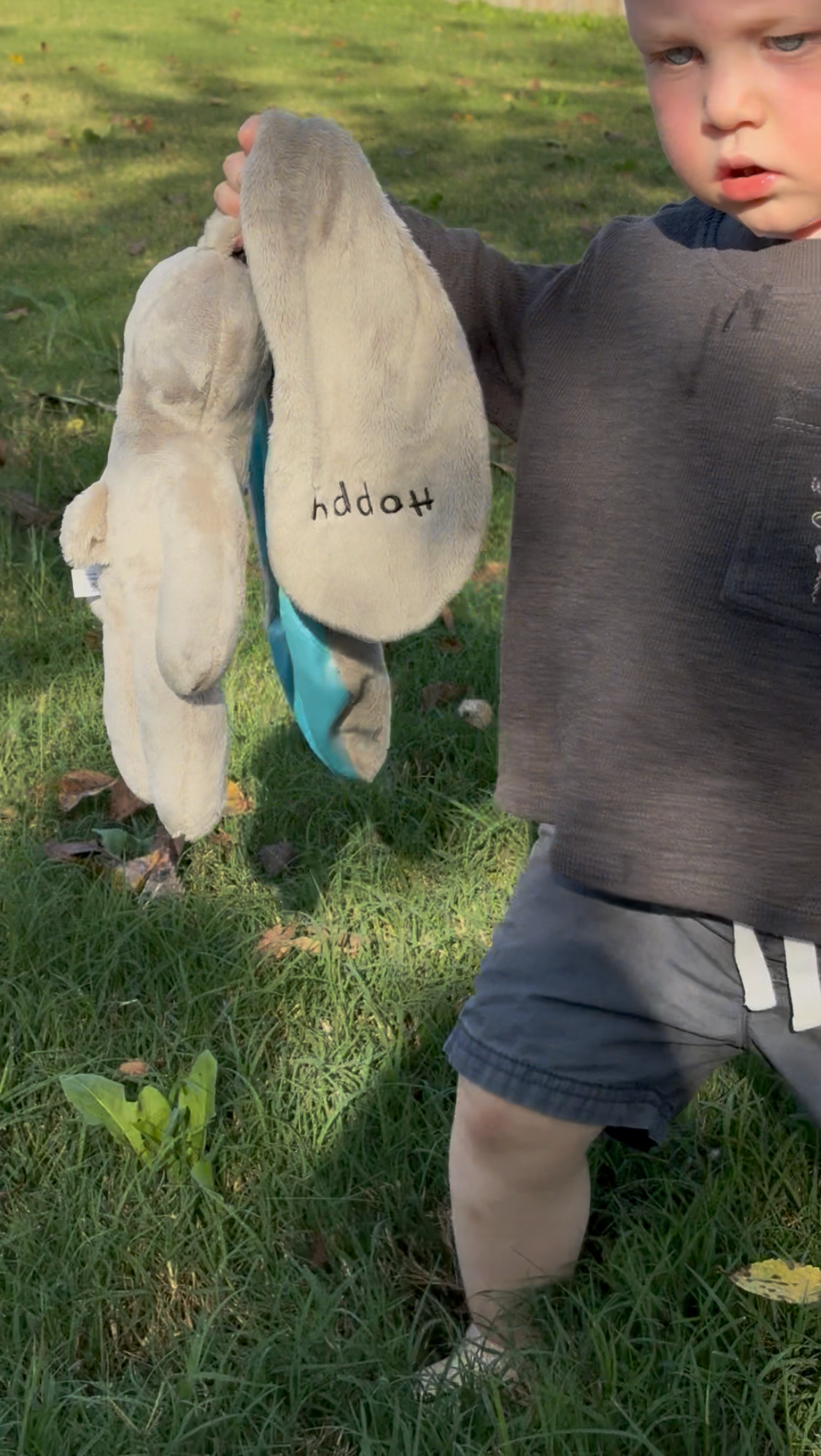 Toddler holding a grey Hoppy lovey bunny with blue satin ears while standing on grass outdoors.